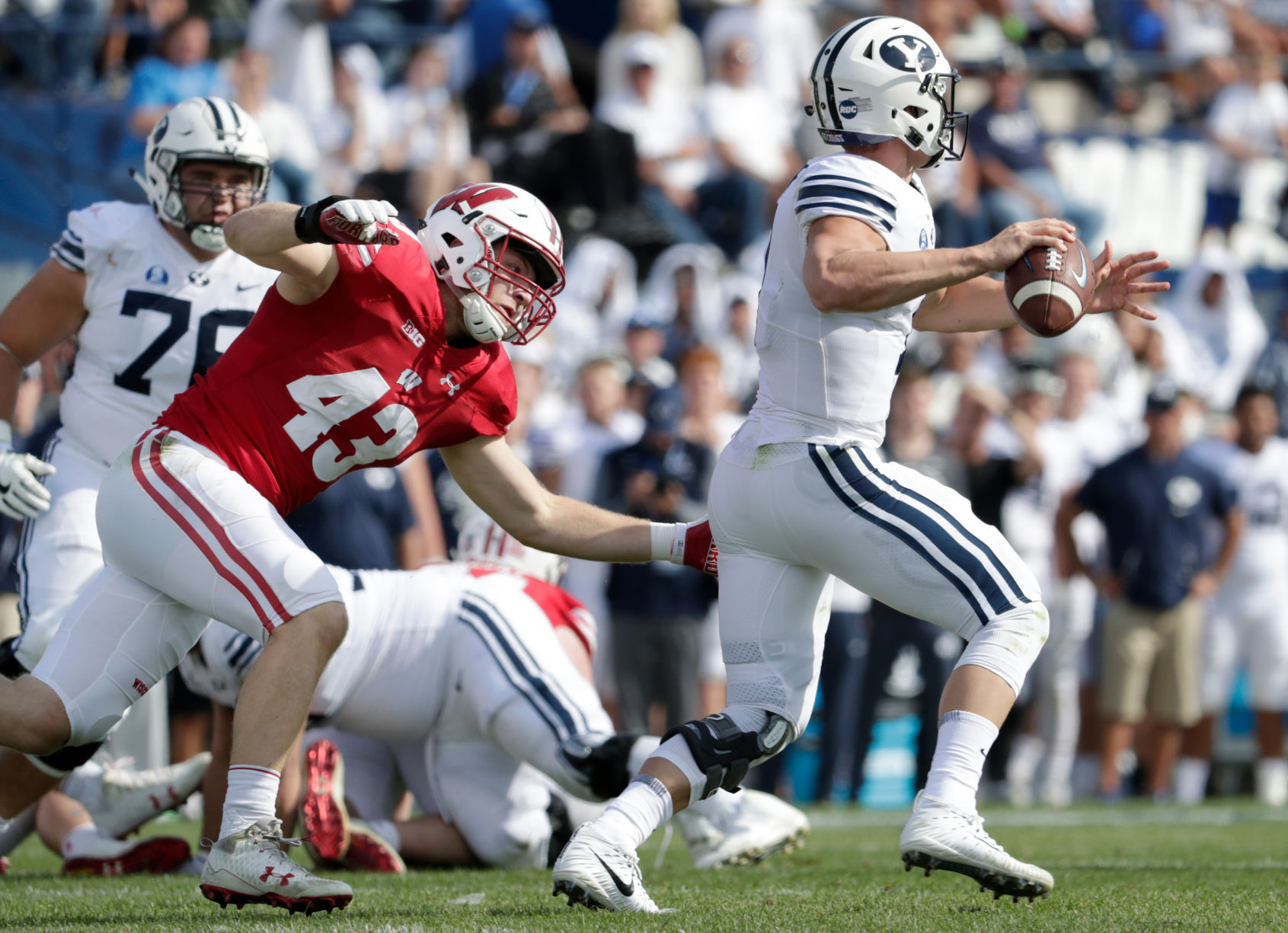Badgers vs. Cougars